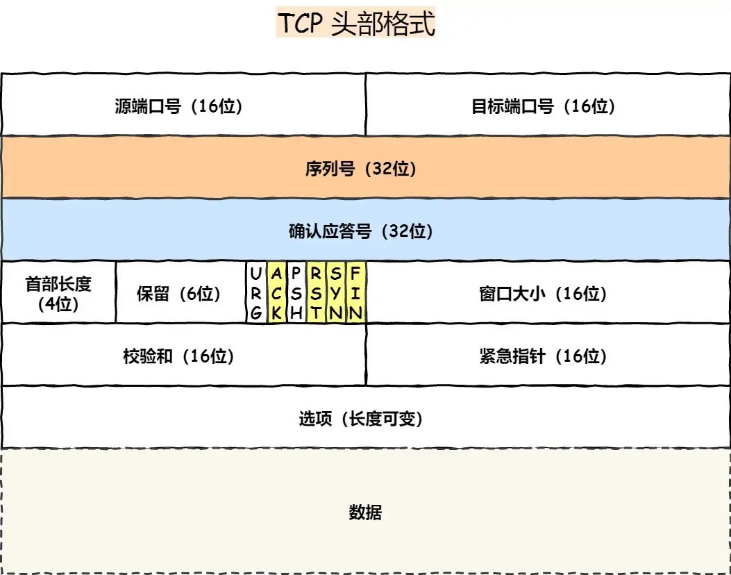 TCP header format